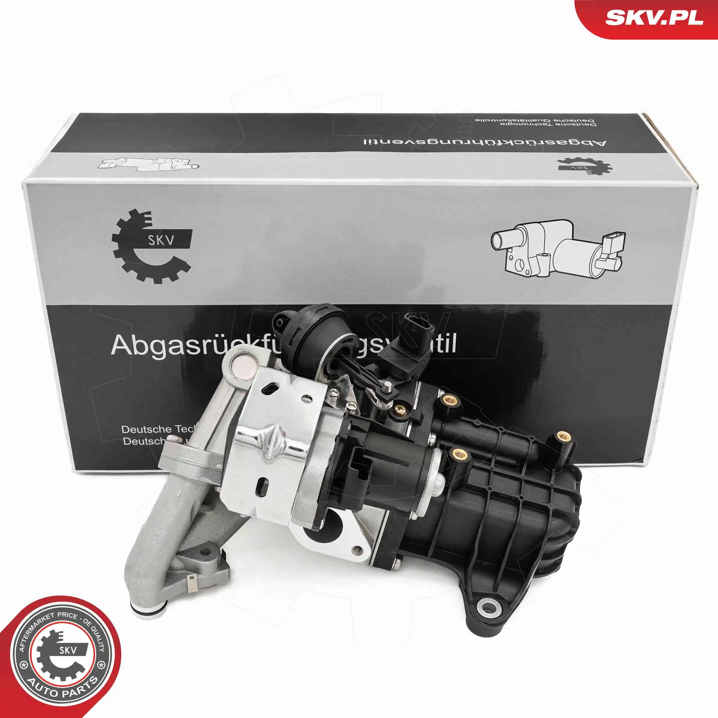 EGR Valve